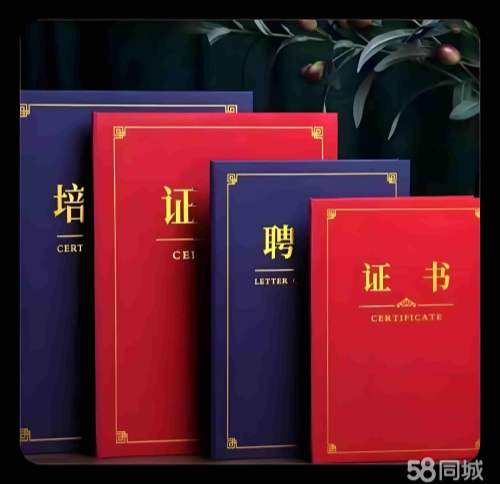 企业荣誉证书与奖牌统一视觉成品陈列